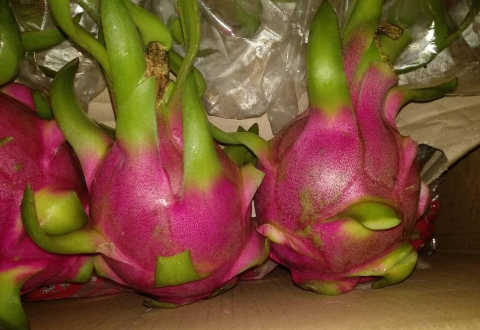 Pitahaya